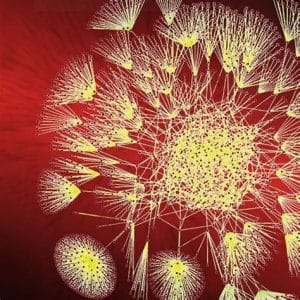 [Coursera] Big Data Specialization (UC San Diego)
